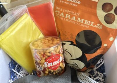 Not-So-Disney Adult Survival Kit