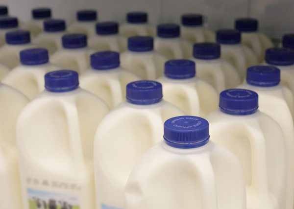 milk, local grocery