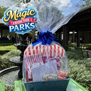 disney parks fun treats basket