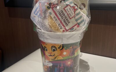 Disney Parks Popcorn Bucket