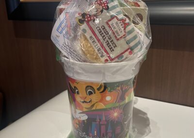 Disney Parks Popcorn Bucket