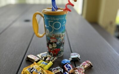 Disney Resort Refillable Mug and Treats