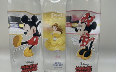 Disney Themed Water