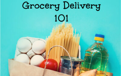 Grocery Delivery on Vacation 101 – Essential Tips for Having Groceries Delivered to Disney World and Orlando Resorts