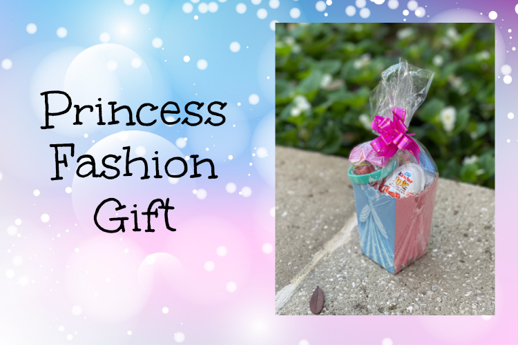 budget gifts princess fashion gift