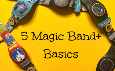 5 Magic Band+ Basics