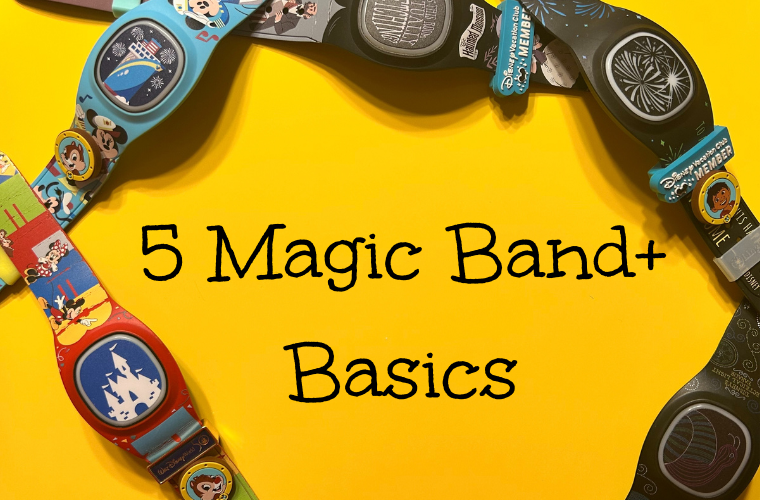 5 Magic Band+ Basics