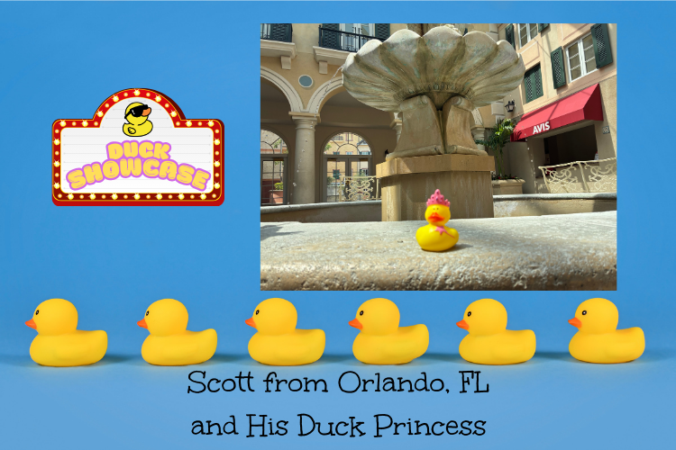 duck example 2
