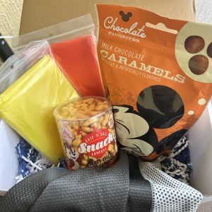 Not-So-Disney Adult Survival Kit