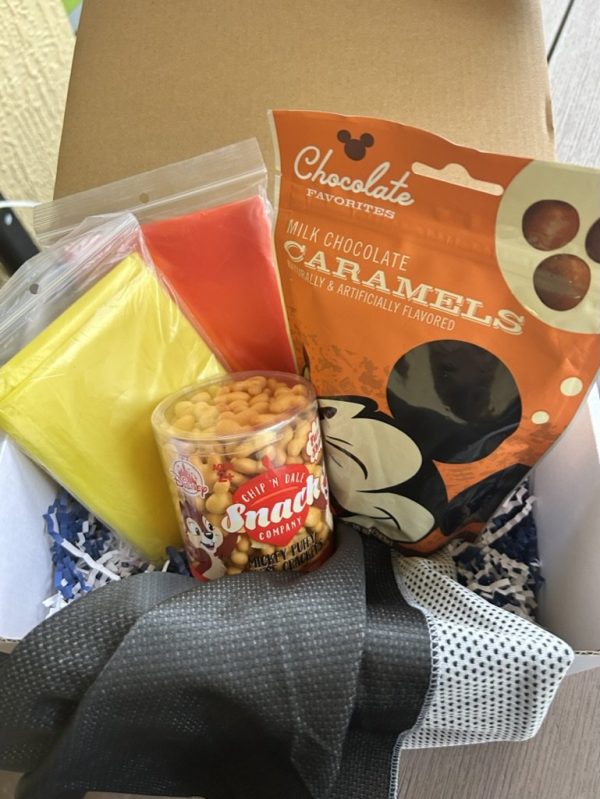 Not-So-Disney Adult Survival Kit