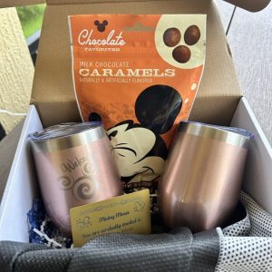 Disney-Adult Surprise Box