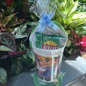 Disney Parks Popcorn Bucket with Standard Snacks
