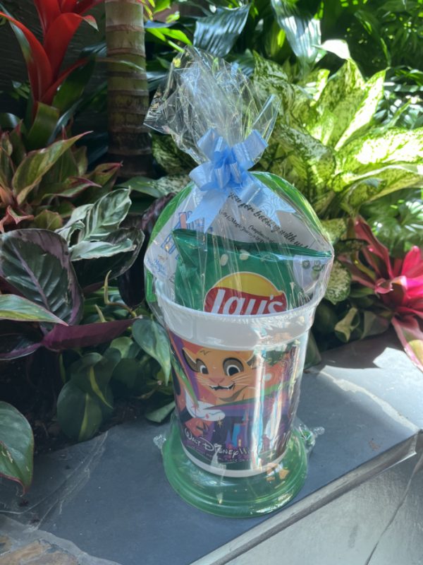 Disney Parks Popcorn Bucket with Standard Snacks