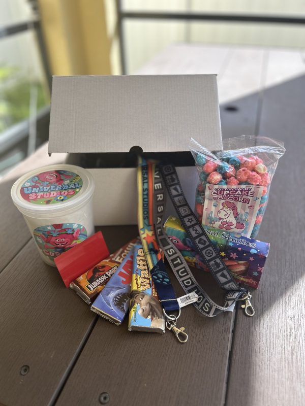 Universal Orlando Surprise Box