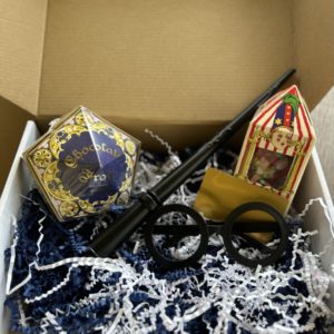 wizarding world surprise box