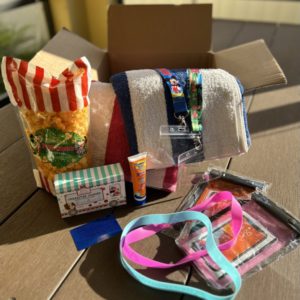 disney cruise surprise box