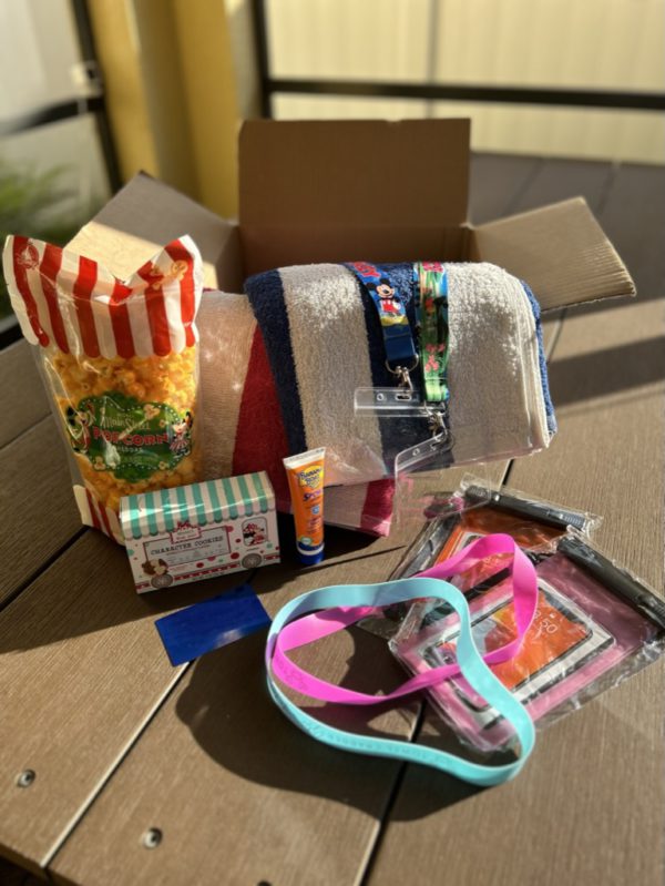disney cruise surprise box