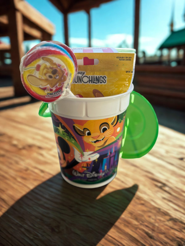 universal parks popcorn bucket with universal treats