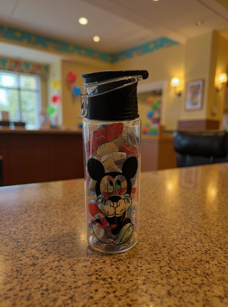disney parks popcorn bucket