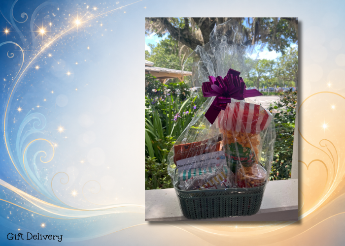 disney delivery gift