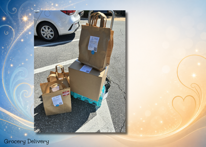 disney delivery grocery
